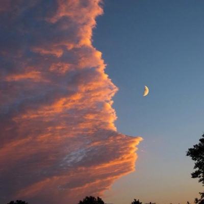 bte365真正的网站下载手机版截图